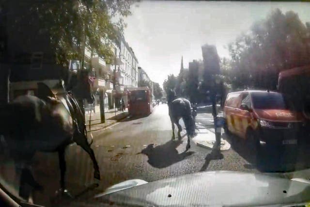 <p>Dash cam video grab  courtesy of black cab taxi driver @Davenoisome of two of three military horses which bolted through central London</p>