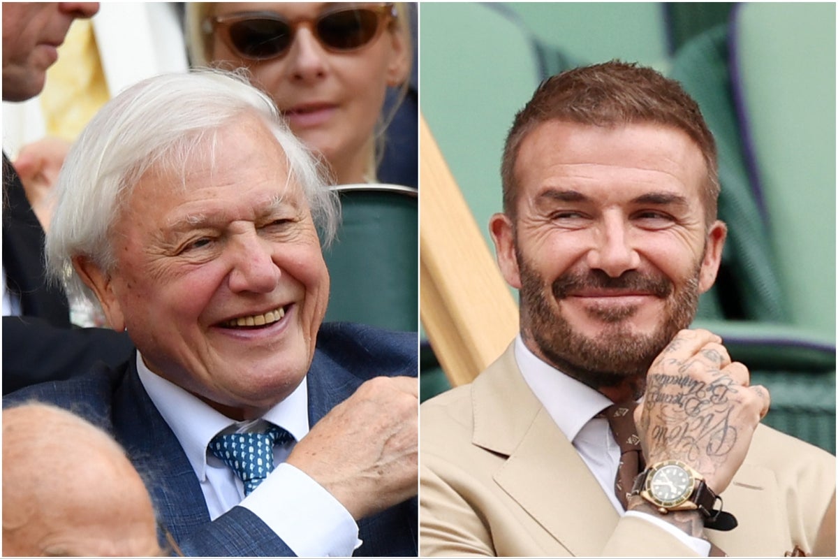 From David Attenborough to David Beckham: Who’s who in the Royal Box on Wimbledon day one?