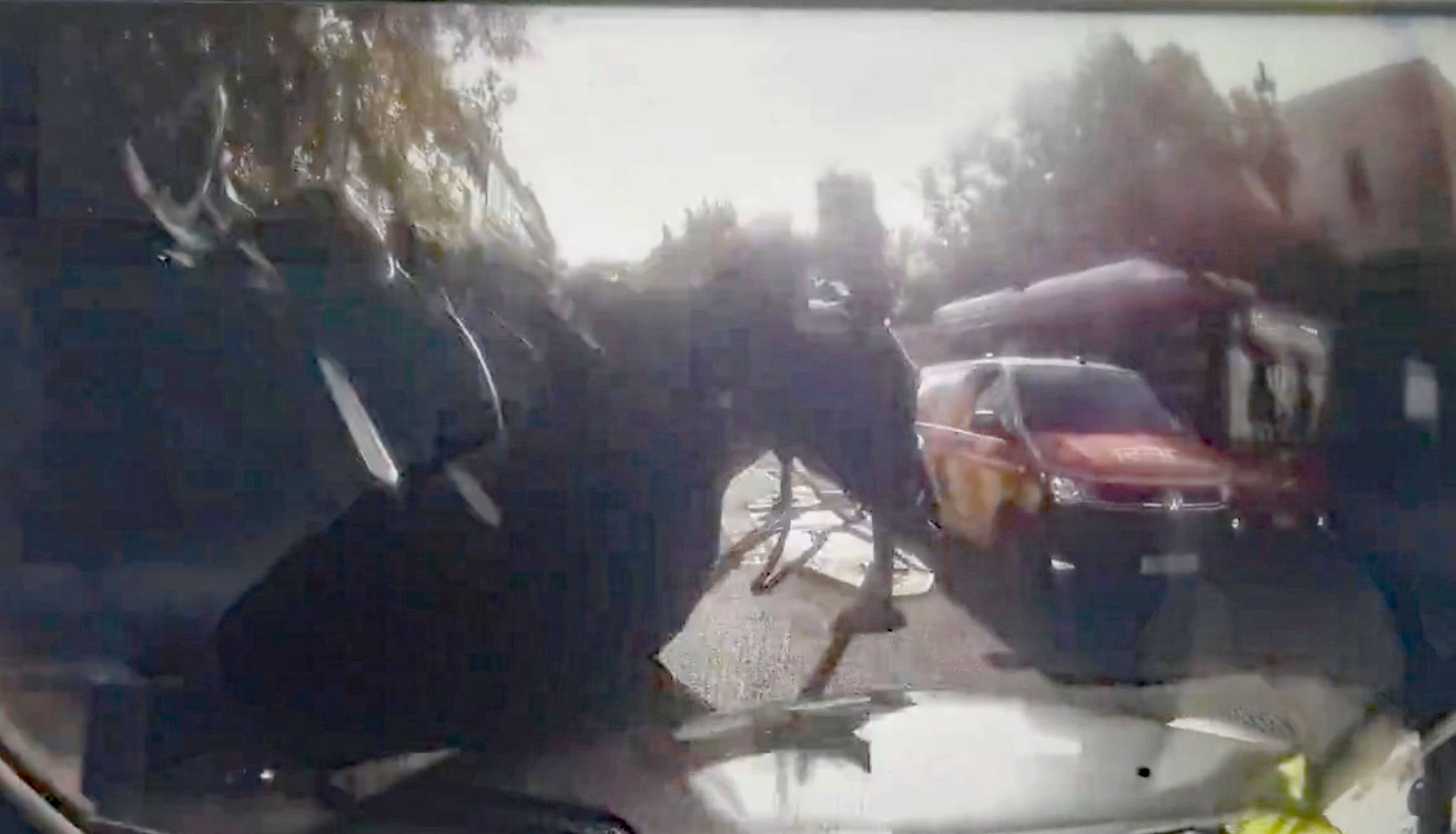 Dashcam footage of a military horse running into a black cab in central London (@Davenoisome/PA)
