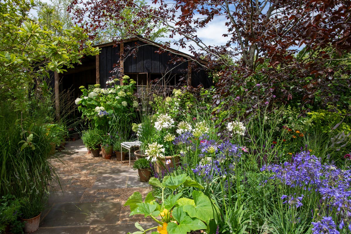 Ditching weedkiller and gardening for nature boosts wellbeing more ...