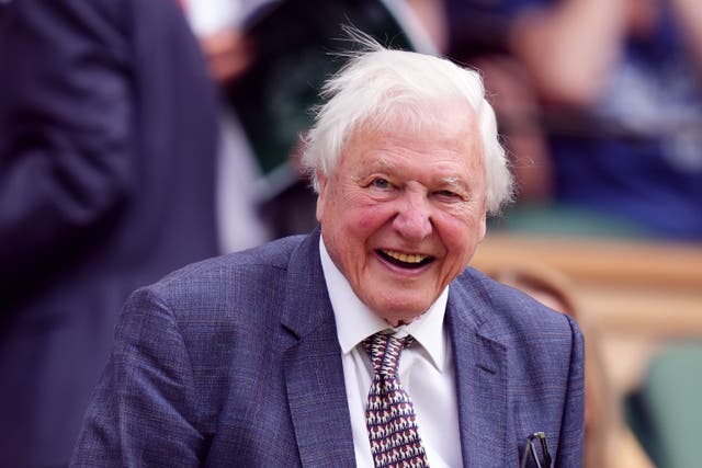 Sir David Attenborough appeared in good spirits as he arrived in the royal box on Centre Court on the first day of Wimbledon (John Walton/PA)