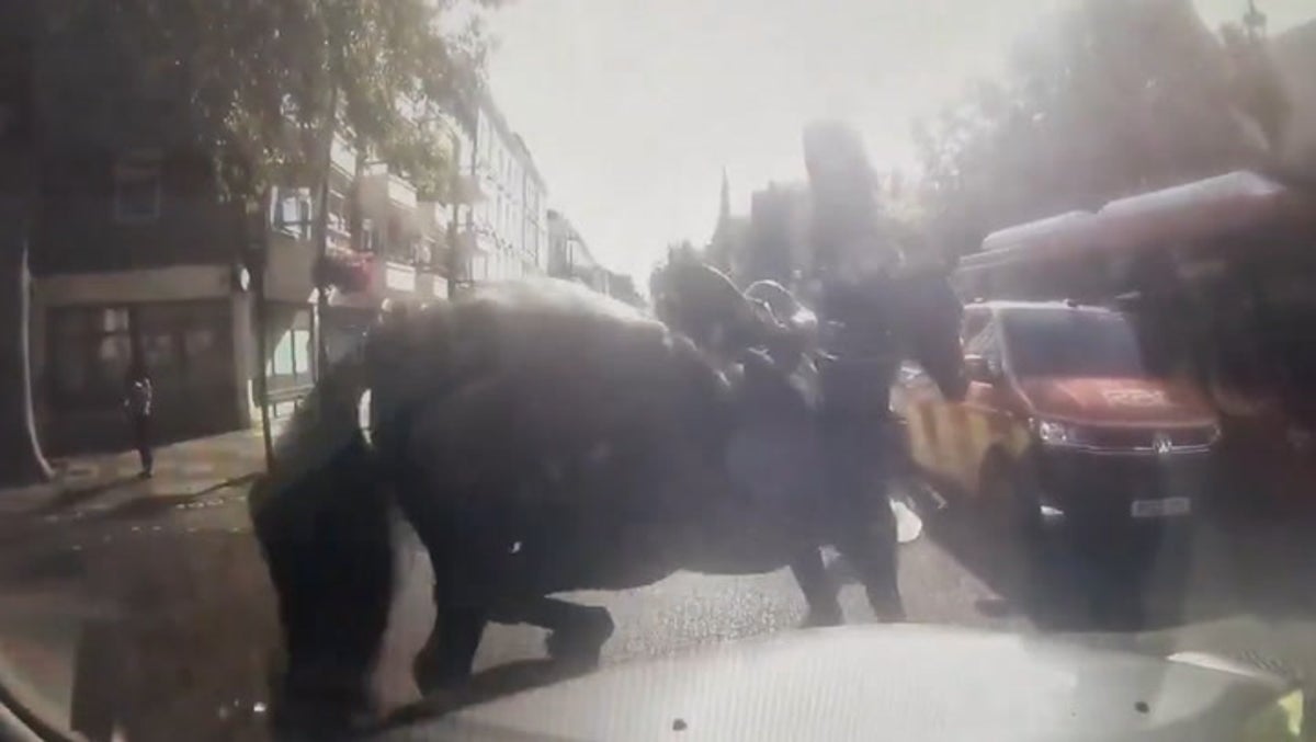 Runaway military horse crashes into car as animals loose again in London