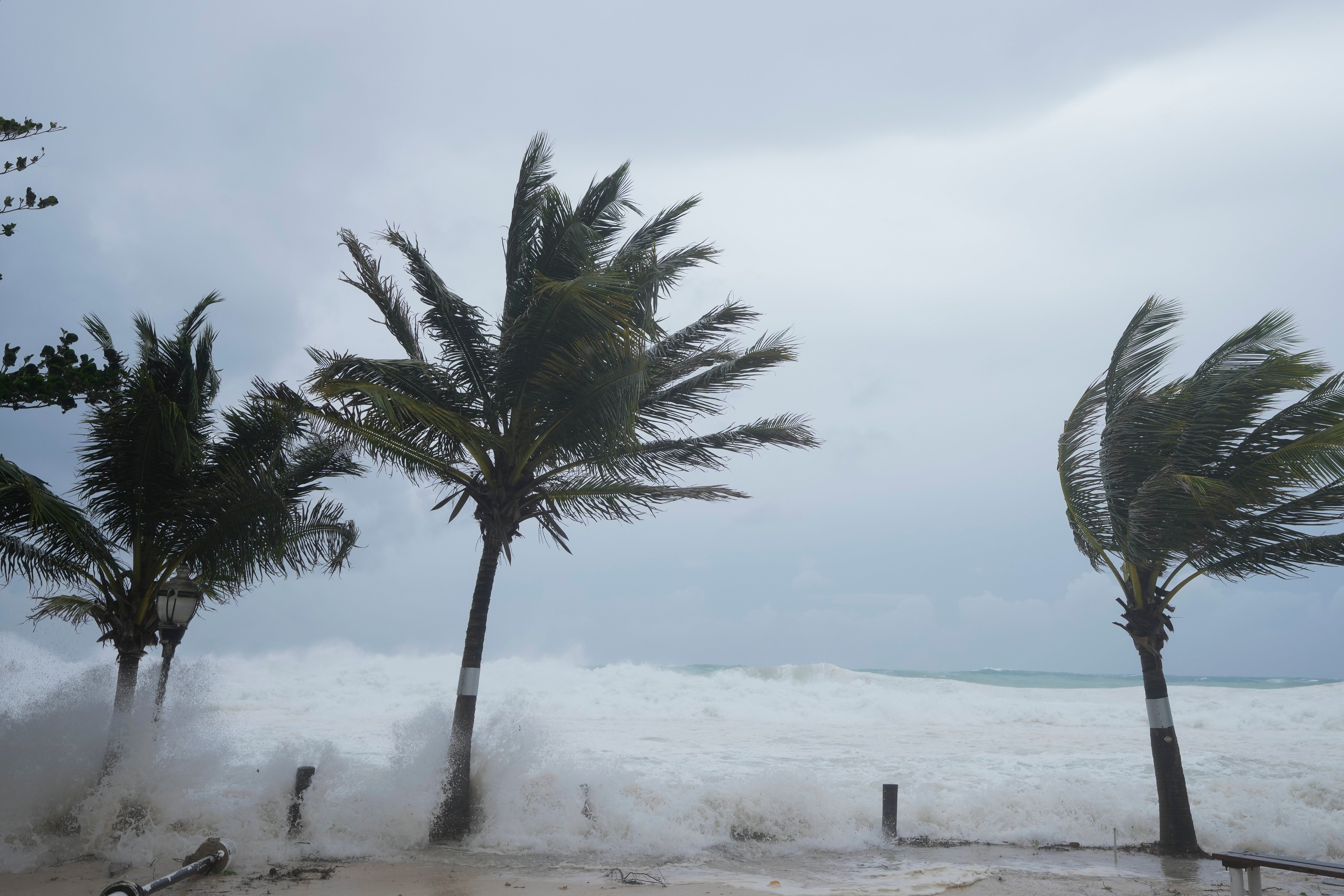 Waves hit wind-swept palm trees as Hurricane Beryl hits Hastings, Barbados on Monday