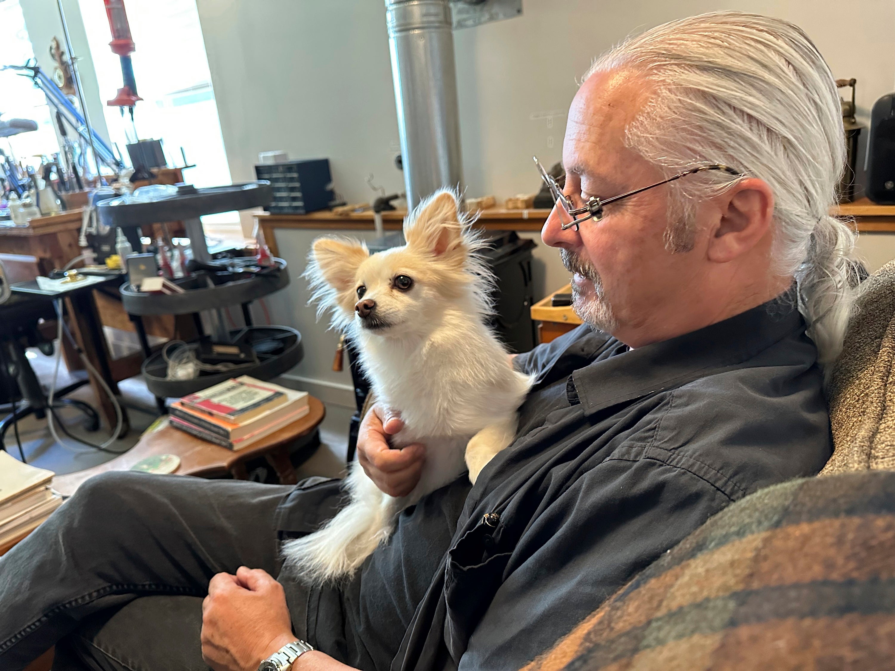 July Fourth Fireworks Dogs