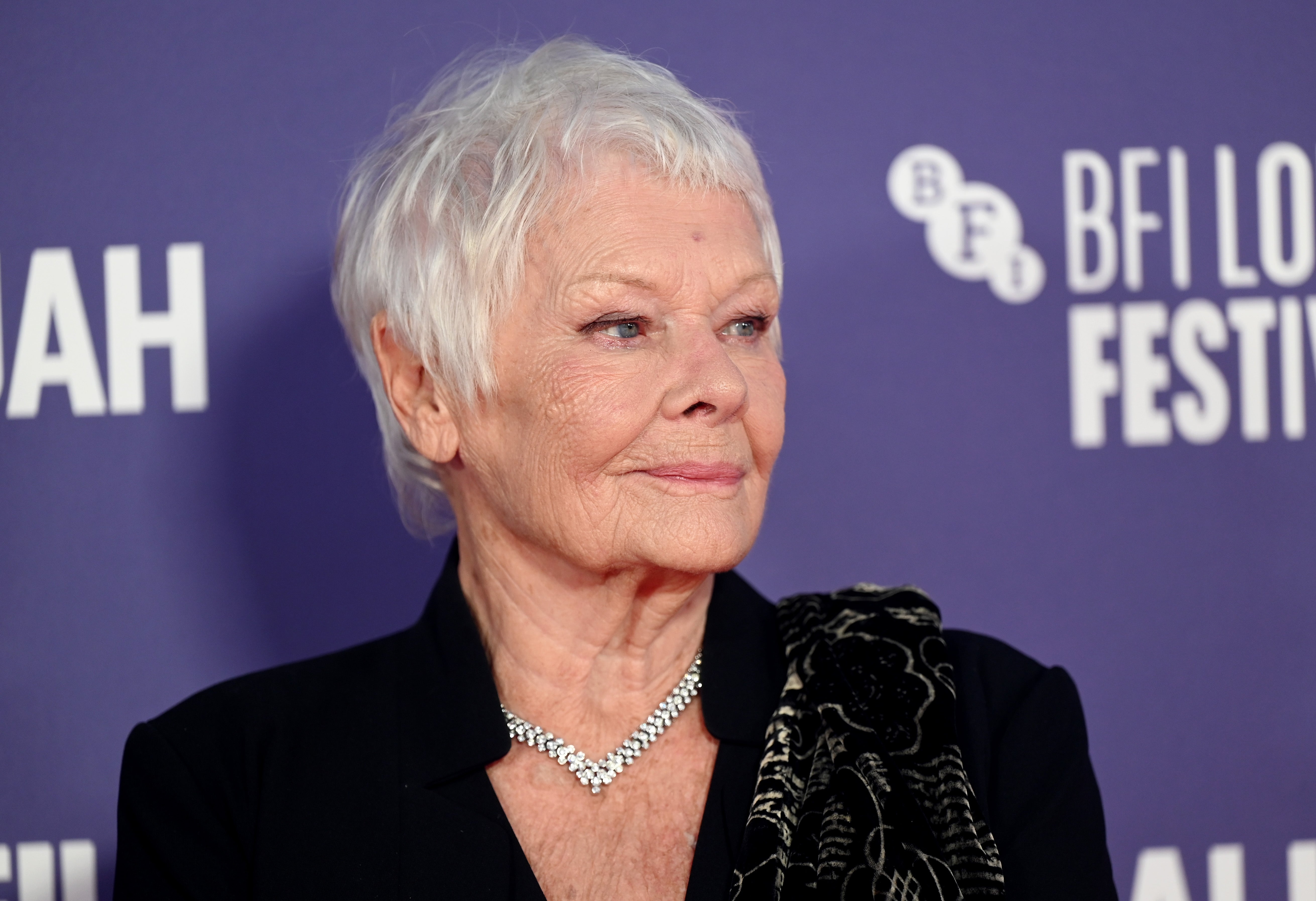 Judi Dench attends the ‘Allelujah’ European Premiere during the 66th BFI London Film Festival at Southbank Centre in London on 9 October 2022