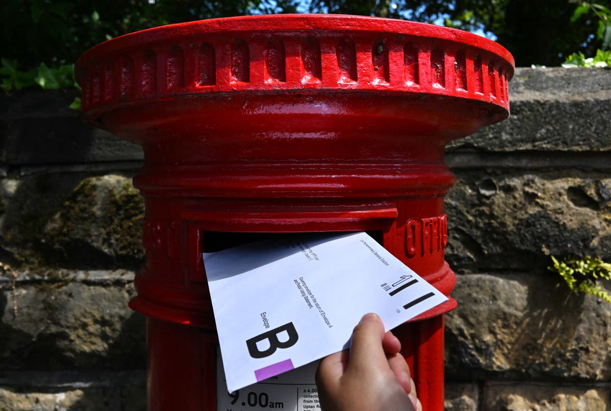 Delays to postal vote delivery being urgently investigated, says minister