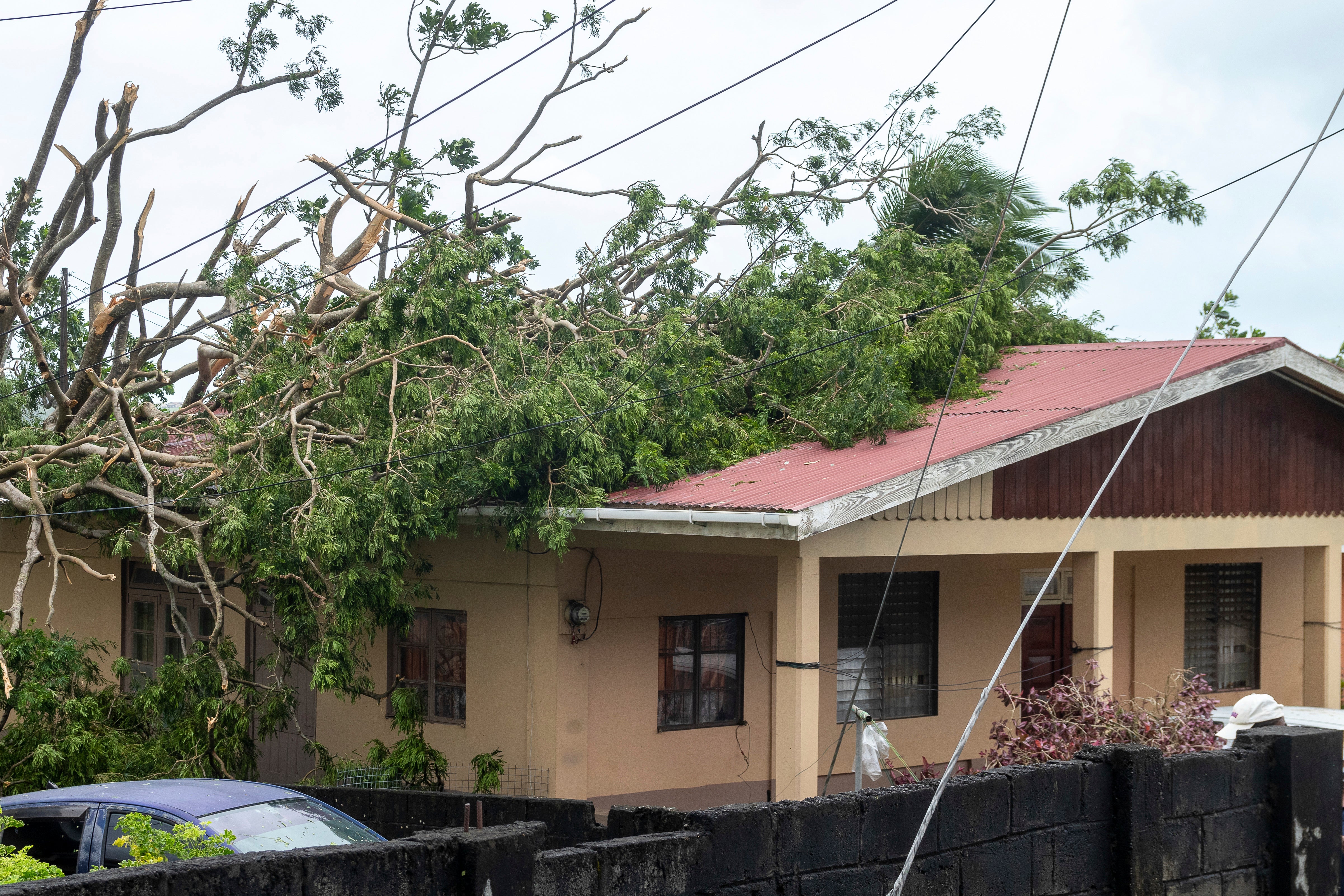 A tree lies on the roof of a house in Kingstown, St. Vincent and the Grenadines, after Hurricane Beryl on Monday, July 1