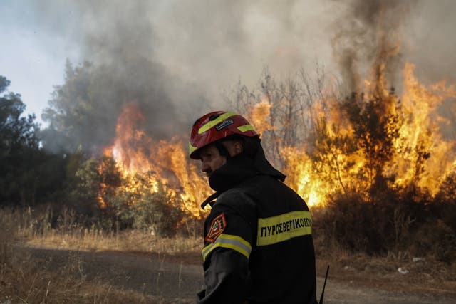 <p> A firefighter stands by a fire while operating during a wildfire in the residential are  of Stamata near Athens, Greece, 30 June 2024</p>