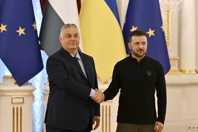 <p>Ukraine's President Volodymyr Zelensky (R) shakes hands with Hungary's Prime Minister Viktor Orban during their meeting in Kyiv</p>