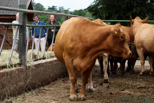 <p>‘A USA deal means allowing chlorinated chicken and hormone-fed beef to destroy our family farms and healthy food standards,’ says the Save British Farming campaign group</p>