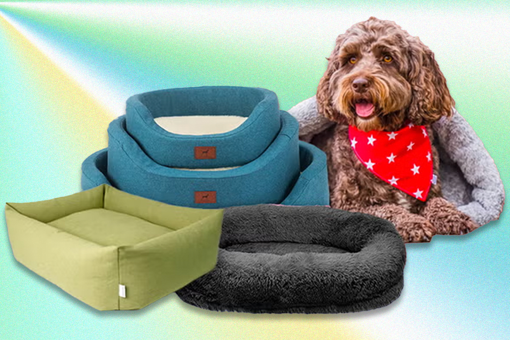 Best dog beds for 2024, tested by dog owners | The Independent
