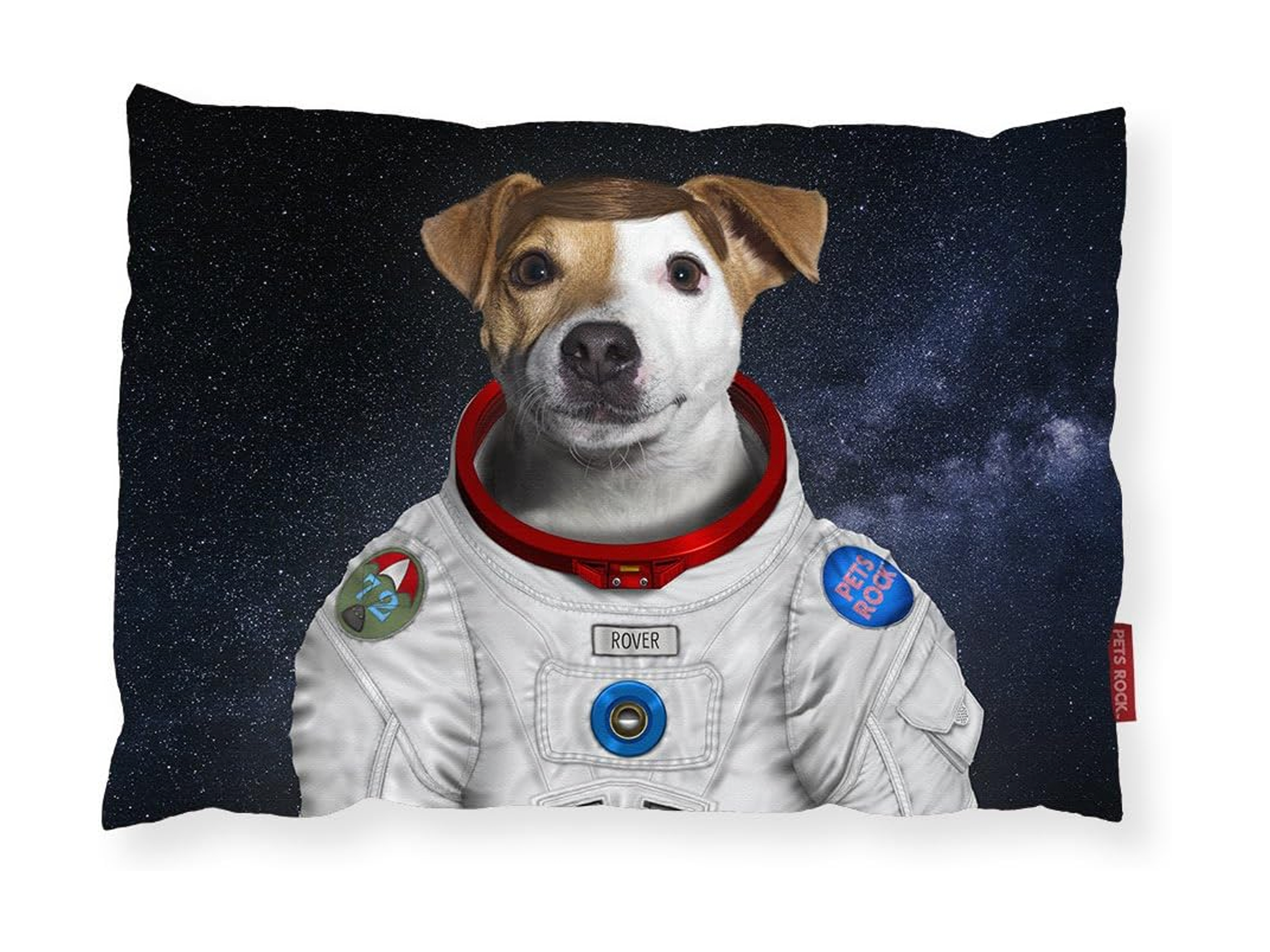 We-love-cushions-best-dog-beds-review-indybest