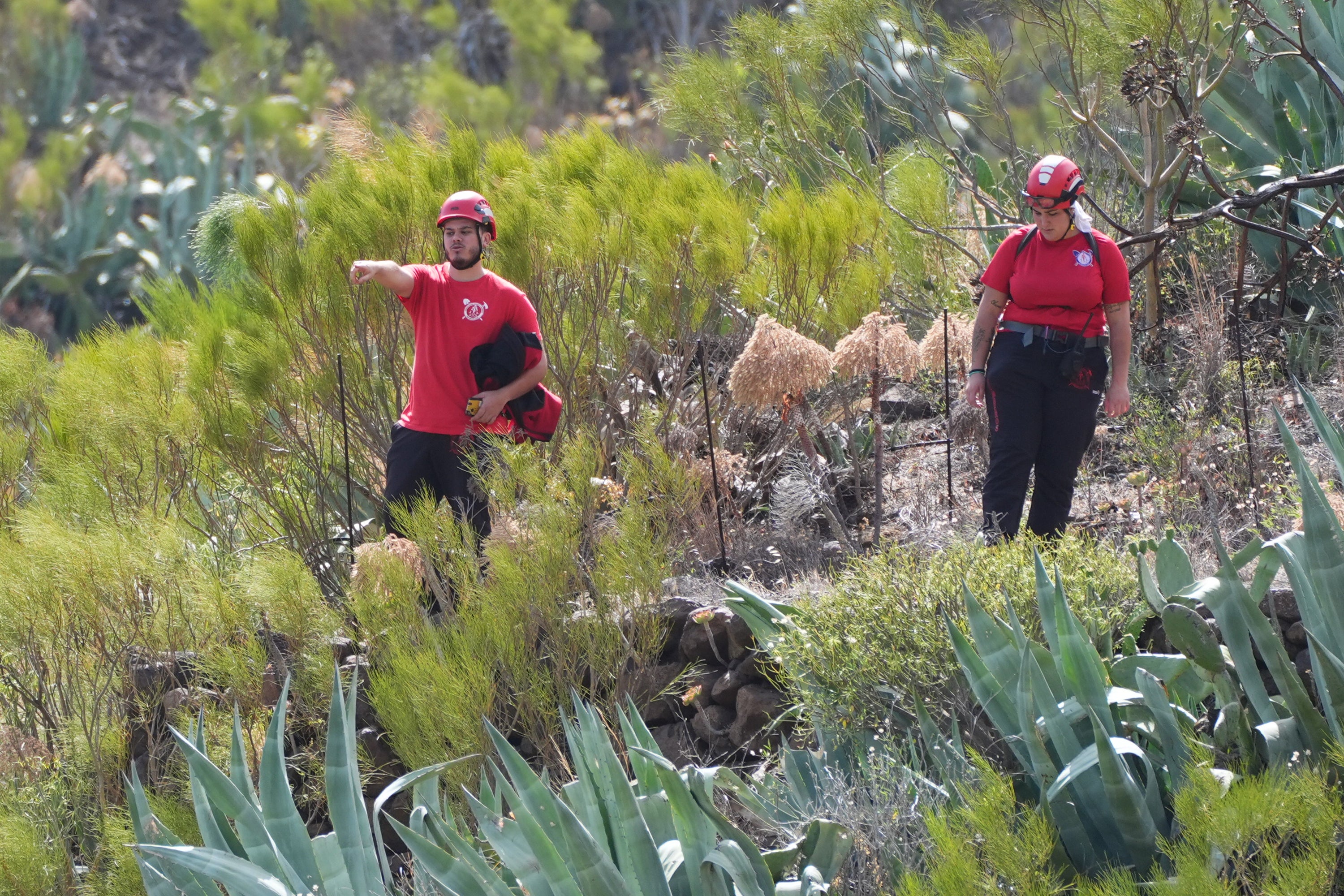 Firefighters search near to the village of Masca, Tenerife (James Manning/PA)