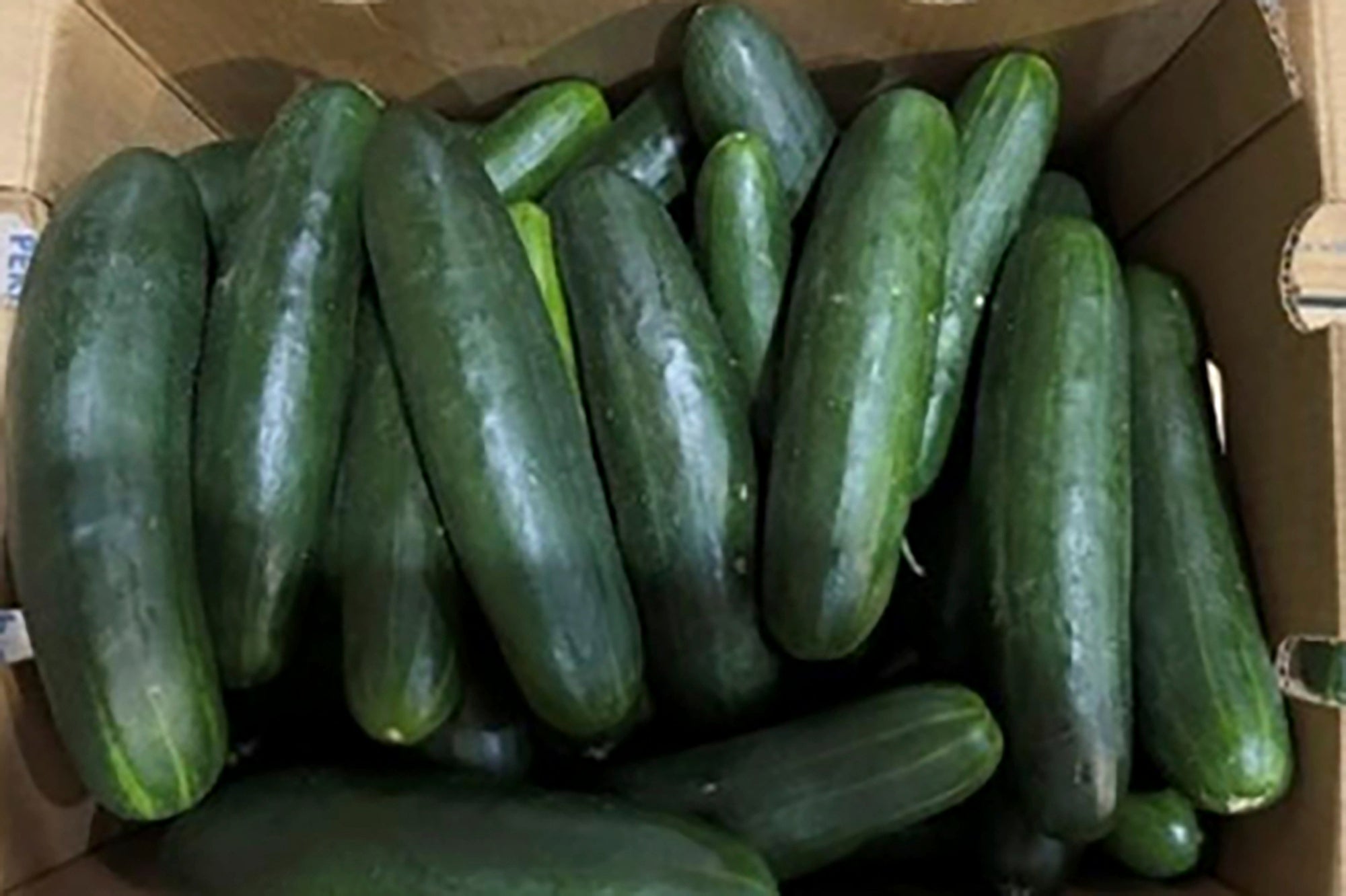 Cucumbers in Florida recalled for salmonella