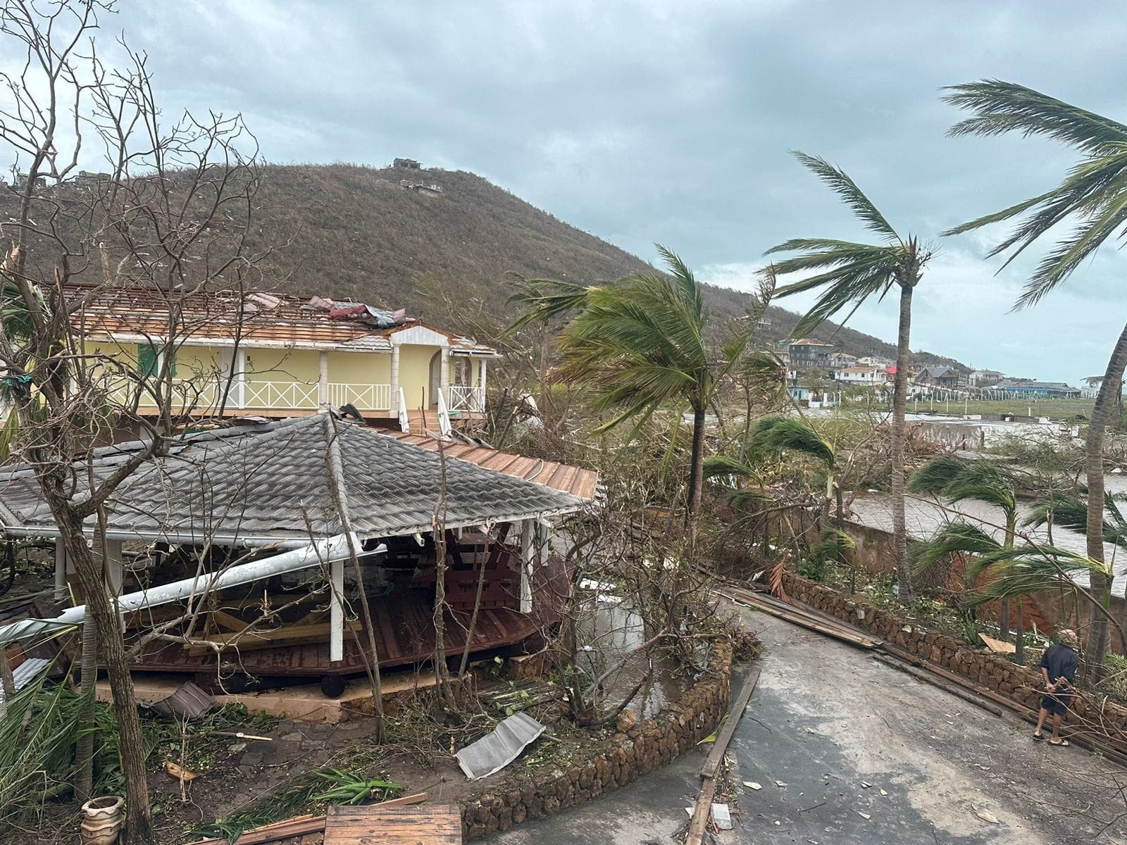 图为飓风贝里尔穿过圣文森特和格林纳丁斯后受损的建筑物和树木