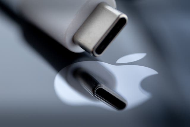 <p>This photograph taken on 14 September 2023, shows a USB-C plug reflected on the Apple logo in Brest, western France</p>