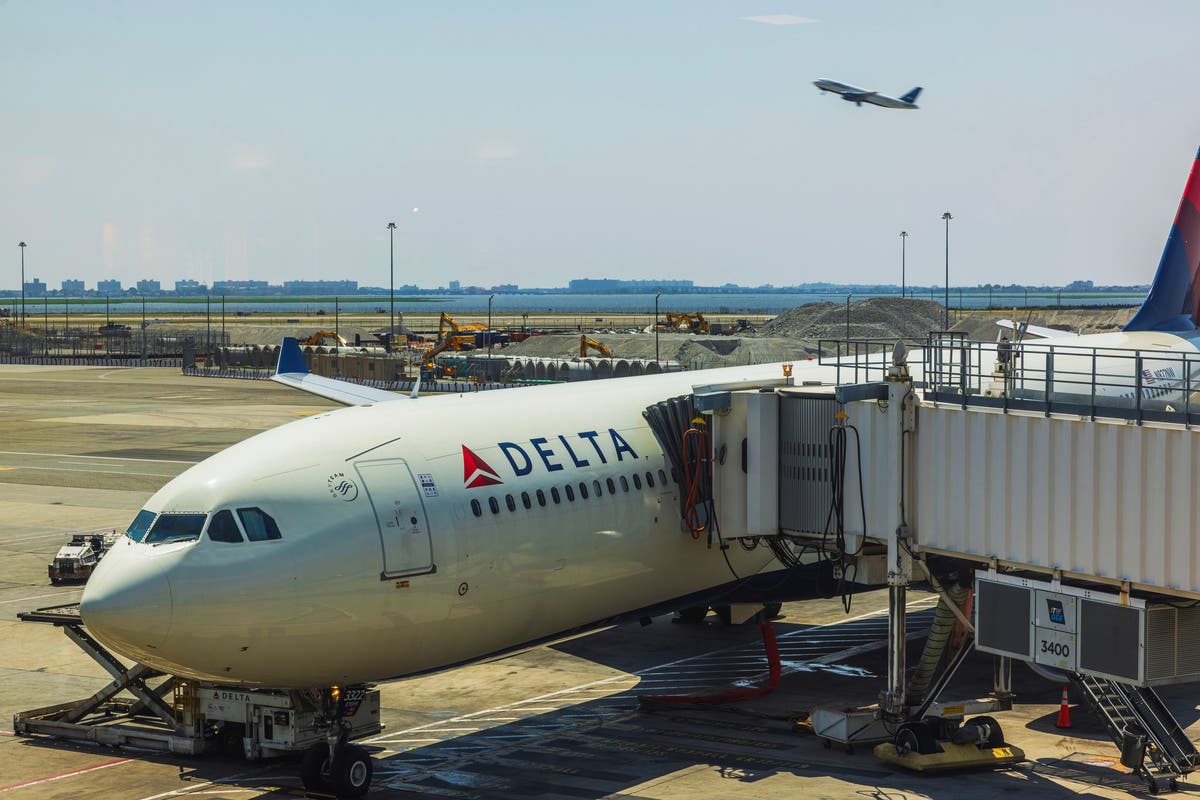 Delta flight makes emergency stop at JFK after bizarre on-board food incident