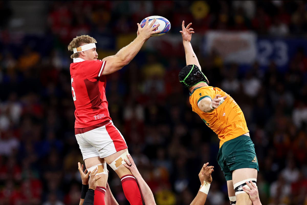 Australia v Wales LIVE rugby Latest score and updates as Josh Hathaway