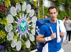 Andy Murray and Emma Raducanu to play Wimbledon mixed doubles as part of emotional farewell