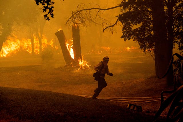 <p>A firefighter runs while battling the Thompson Fire burning in Oroville, California </p>