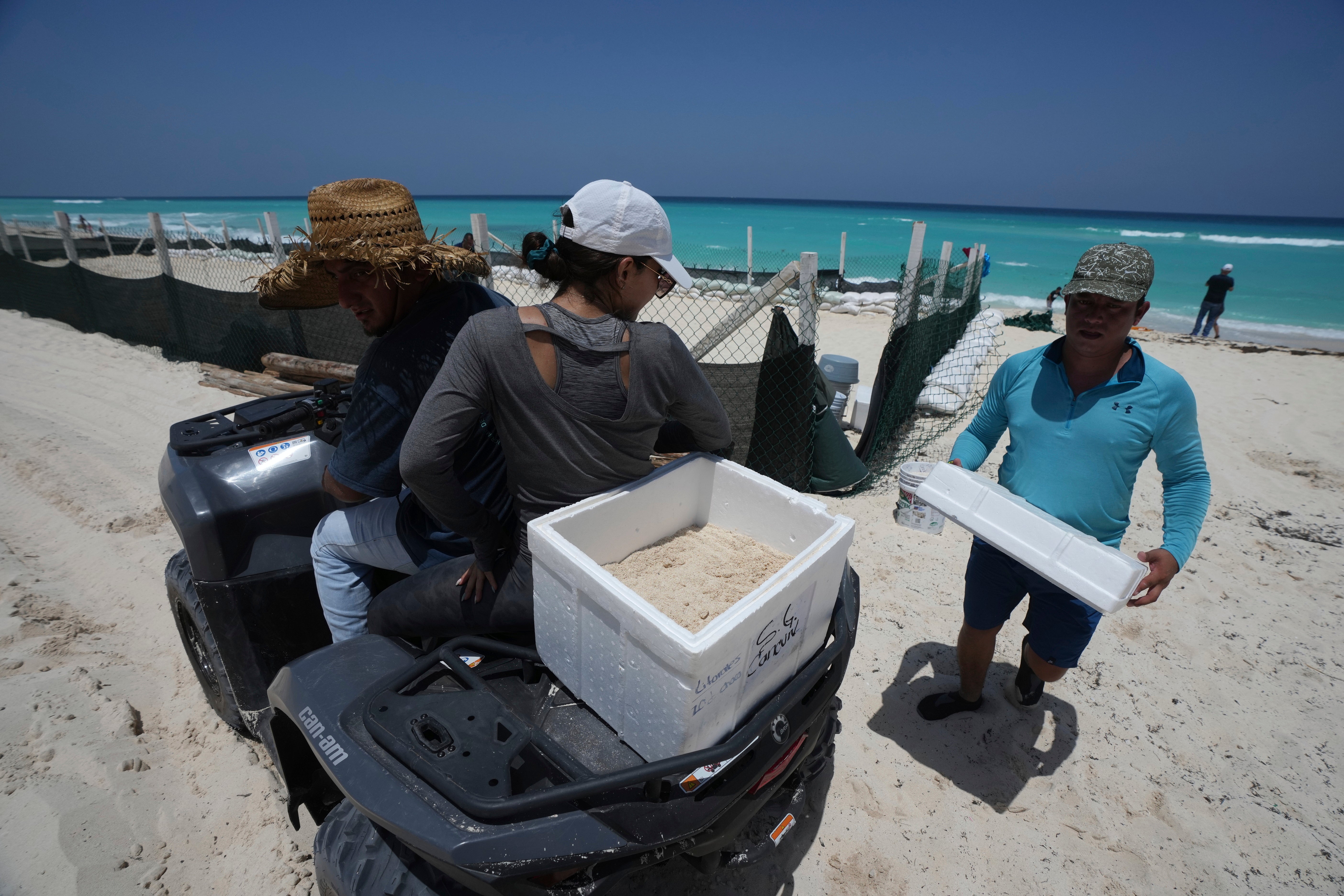 State employees evacuate turtle eggs from the beach to protect them from the incoming Hurricane Beryl, in Cancun