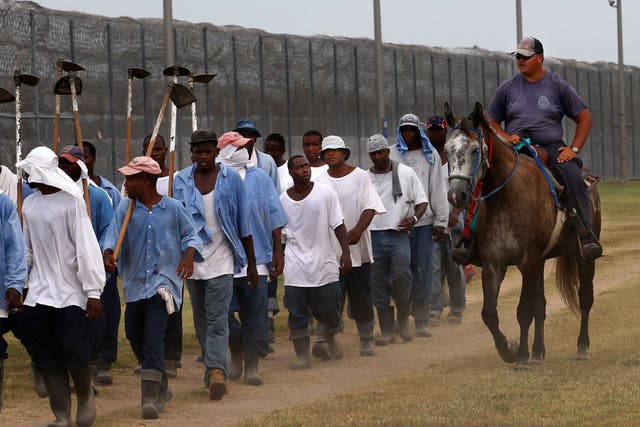 Prison to Plate Inmate Labor Heat