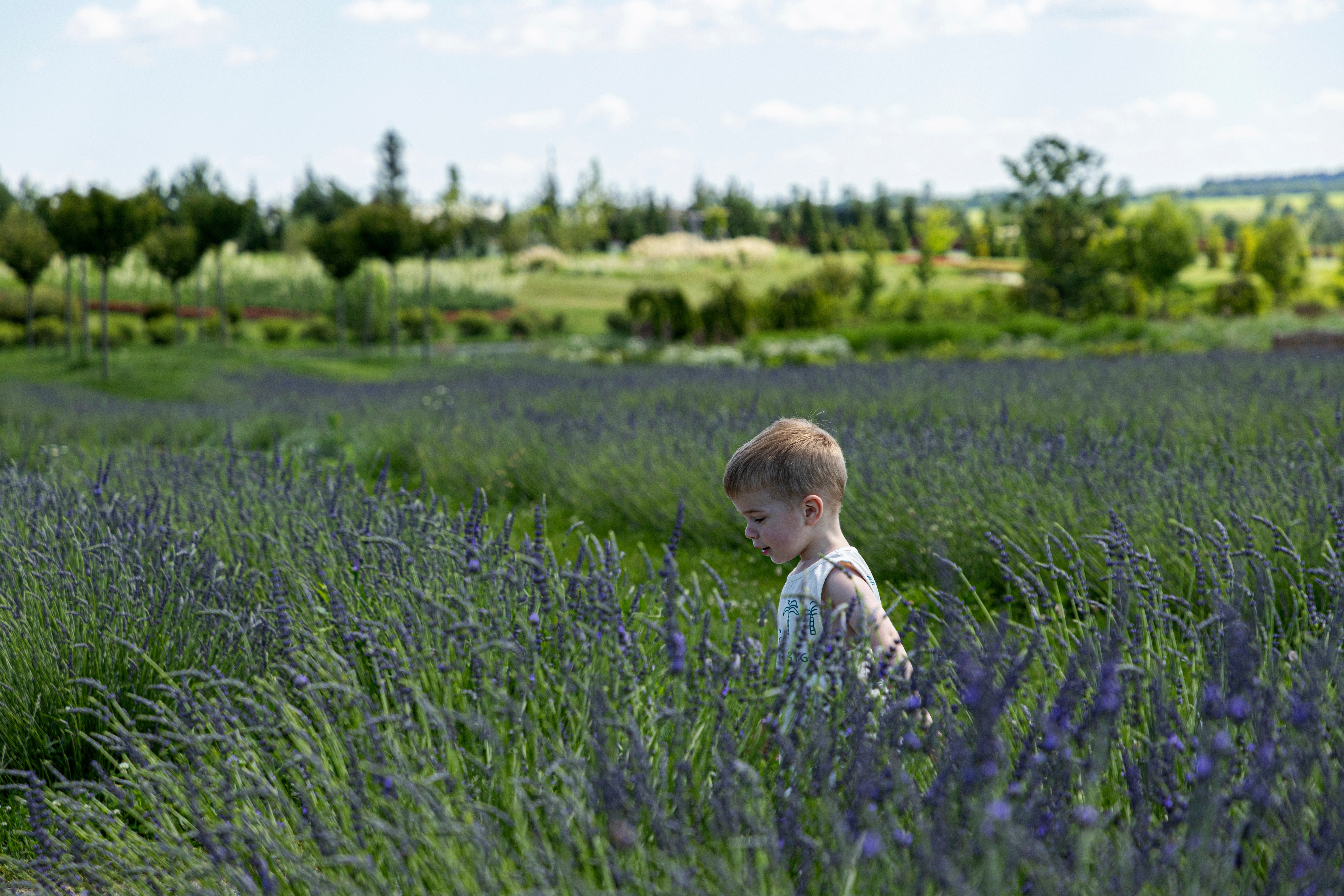 Russia Ukraine War Flowers