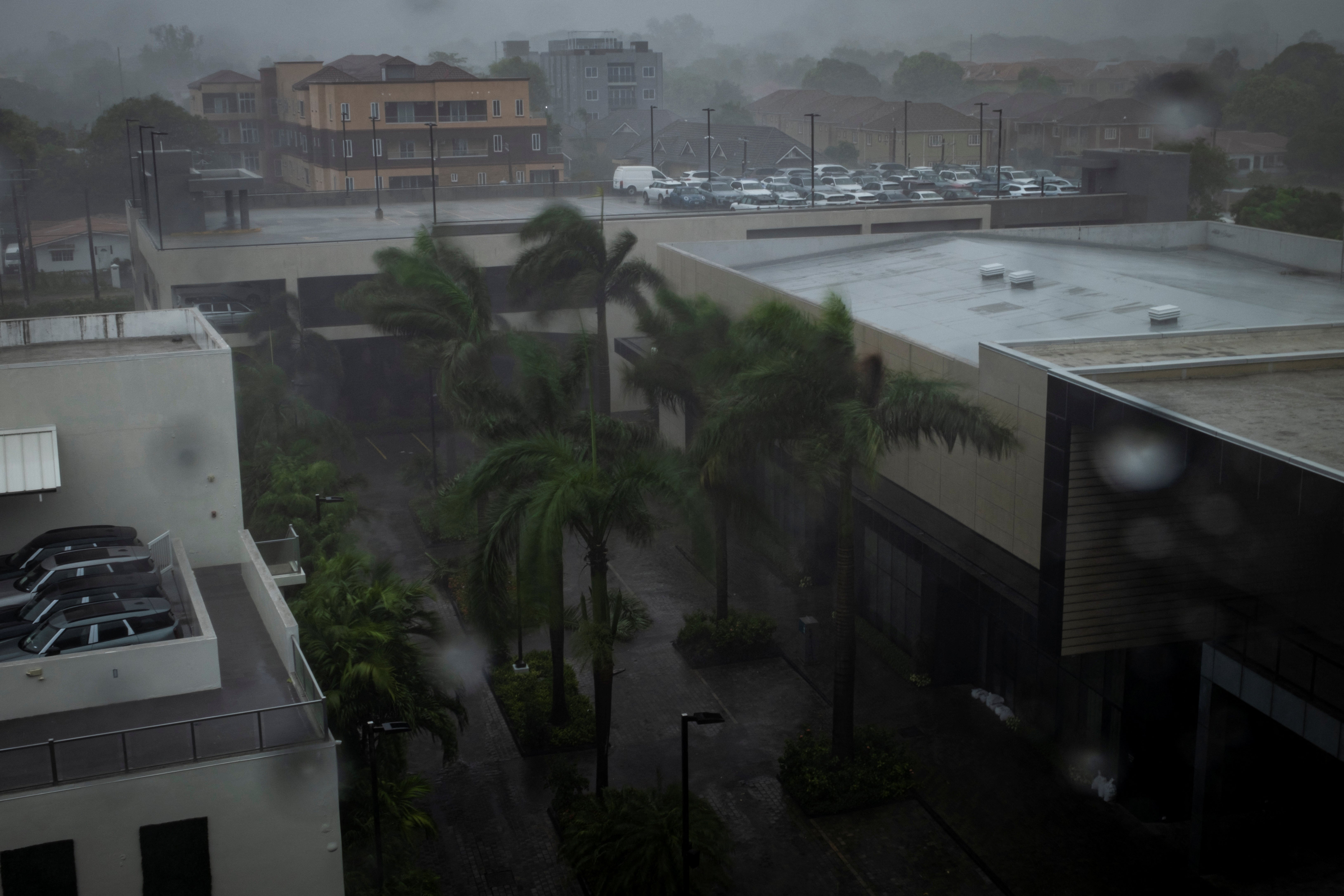 Palm trees sway in the wind and rain as Hurricane Beryl hits the southern coast of the island in Kingston, Jamaica.