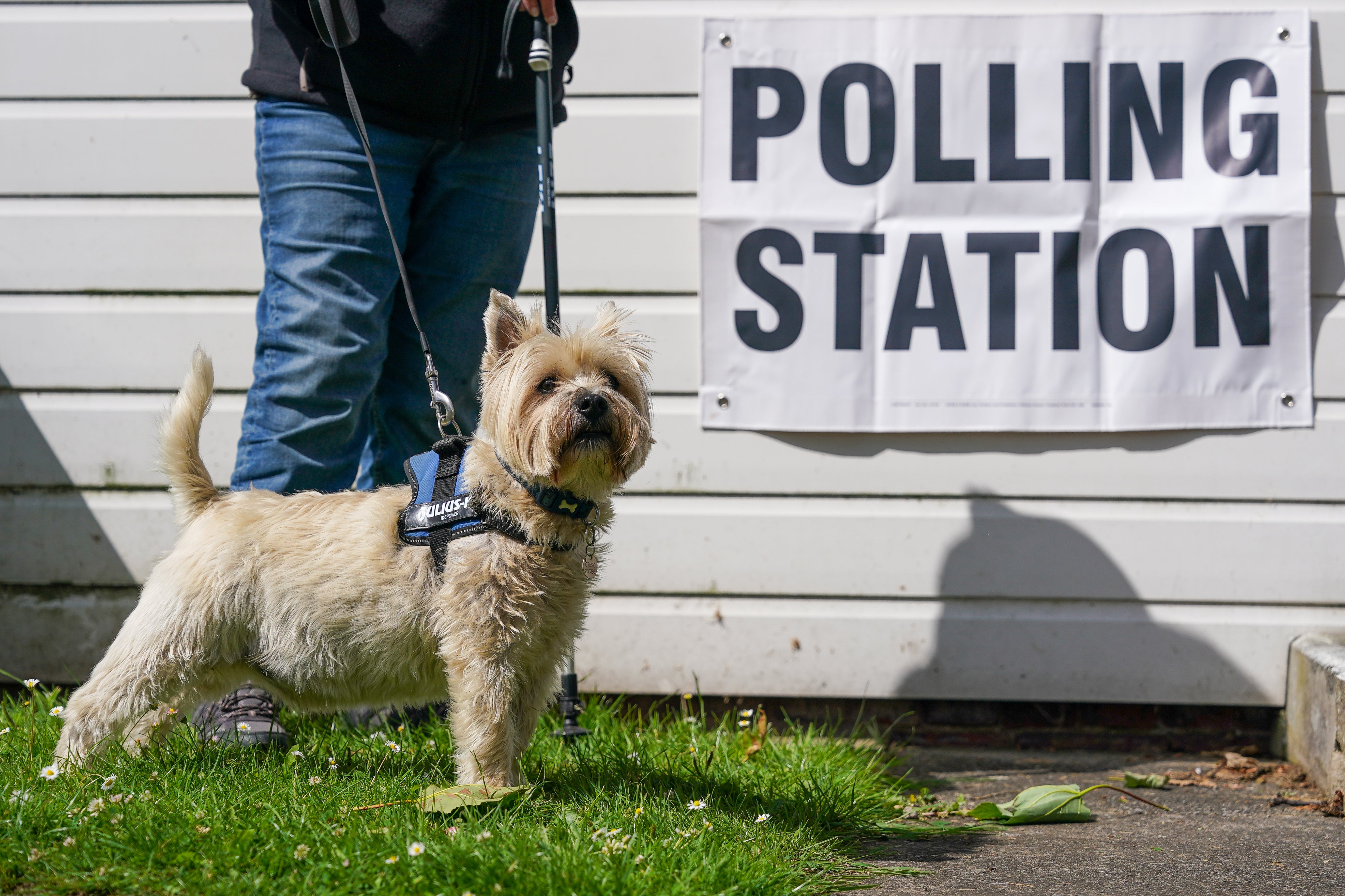 A dog waits outside a polling station as voters go to the polls in the general election on July 04, 2024 in Great Ayton, United Kingdom
