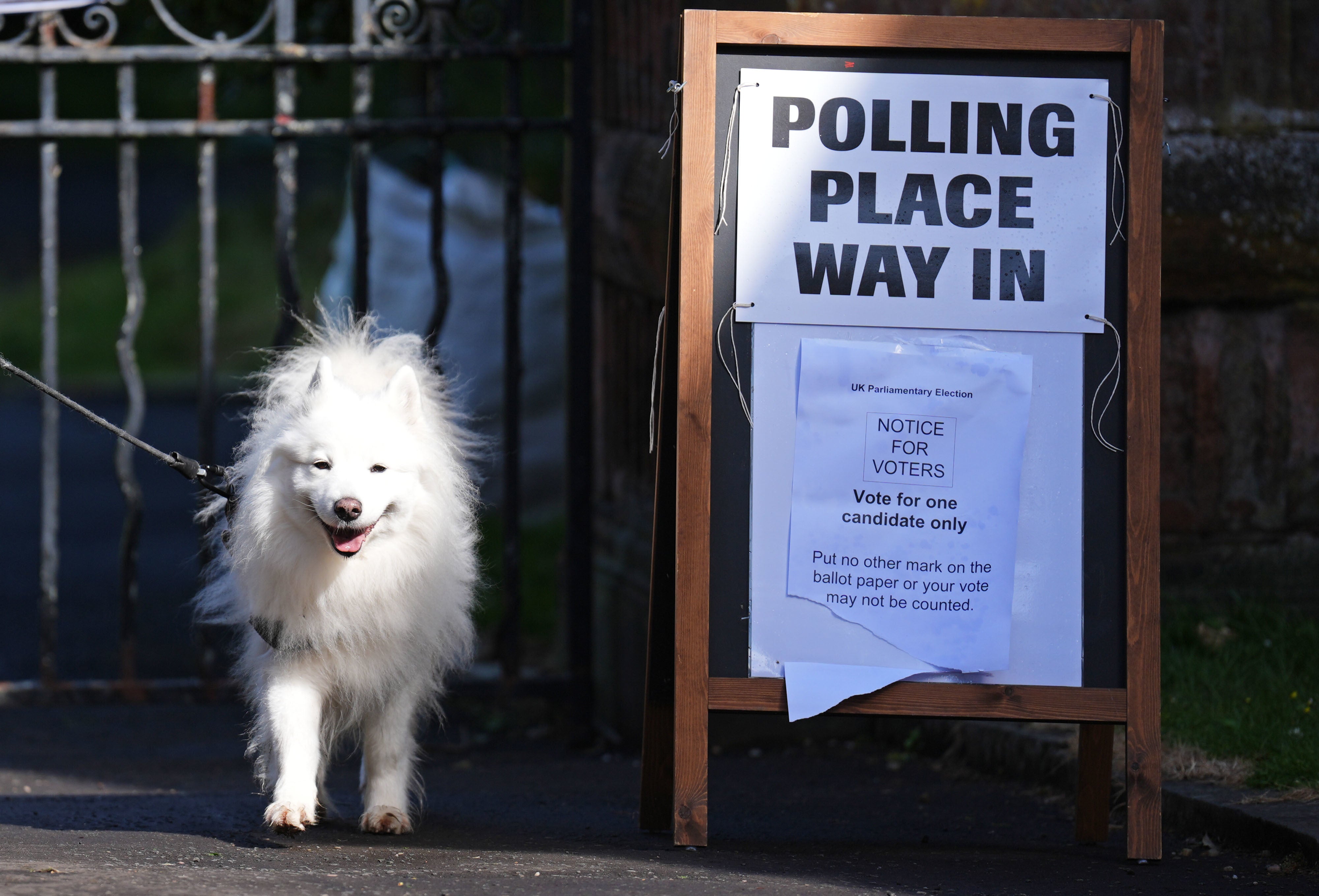 A dog waited patiently for its owner to vote at Pollokshields Burgh Halls in Glasgow (Andrew Milligan/PA)
