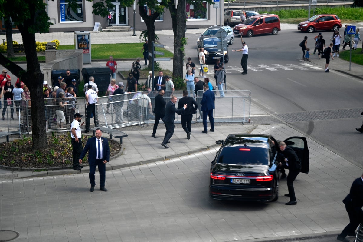 The suspect in the attempted assassination of Slovakia's prime minister now faces terror charges