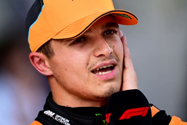 McLaren driver Lando Norris, pictured, no longer expects an apology from Max Verstappen (Christian Bruna/AP)