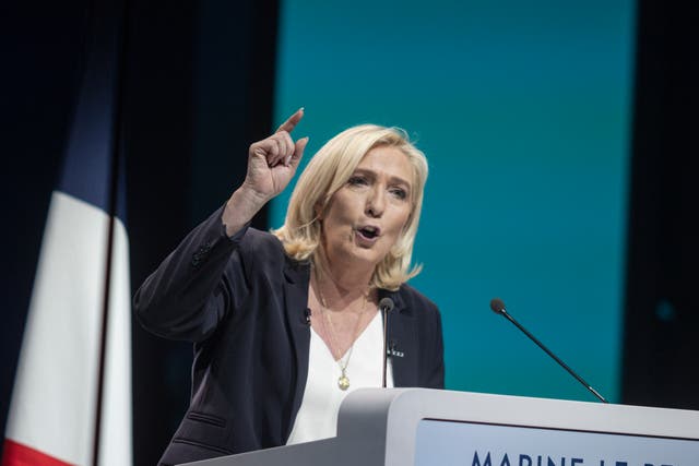 <p>Marine Le Pen has galvanised support for the far-right party, National Rally, created by her father </p>