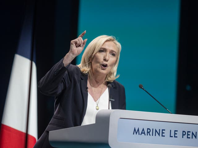 <p>Marine Le Pen has galvanised support for the far-right party, National Rally, created by her father </p>