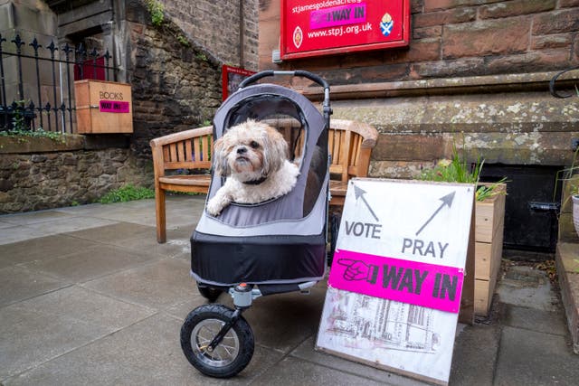 <p>Joey, the Shih Tzu, waits outside the polling station at St James’ Church, Goldenacre, in Edinburgh </p>