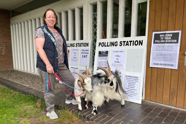 Mary Mantom took her pet goats to the polling station (Mary Mantom/PA)