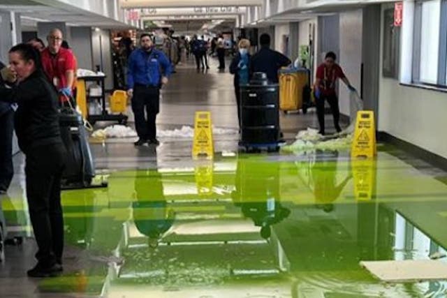 <p>Green liquid flooded Concourse G at the Miami International Airport on July 4</p>