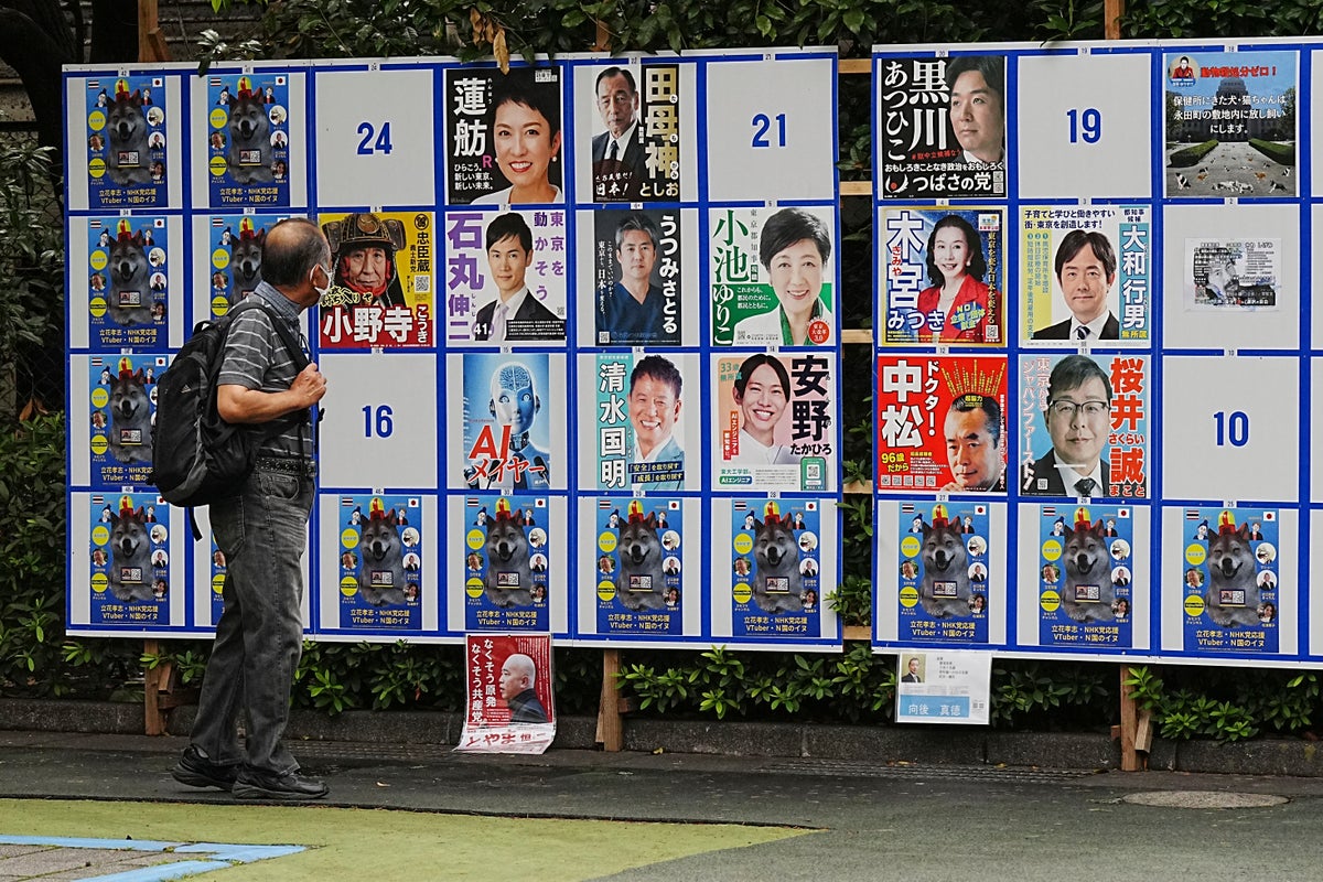 ‘We have to be wacky.’ With suggestive poses and pets, election campaigning tests Tokyo’s patience