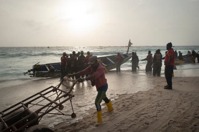 <p>Fishermen offload a boat in Jreida on the coast of Mauritania</p>