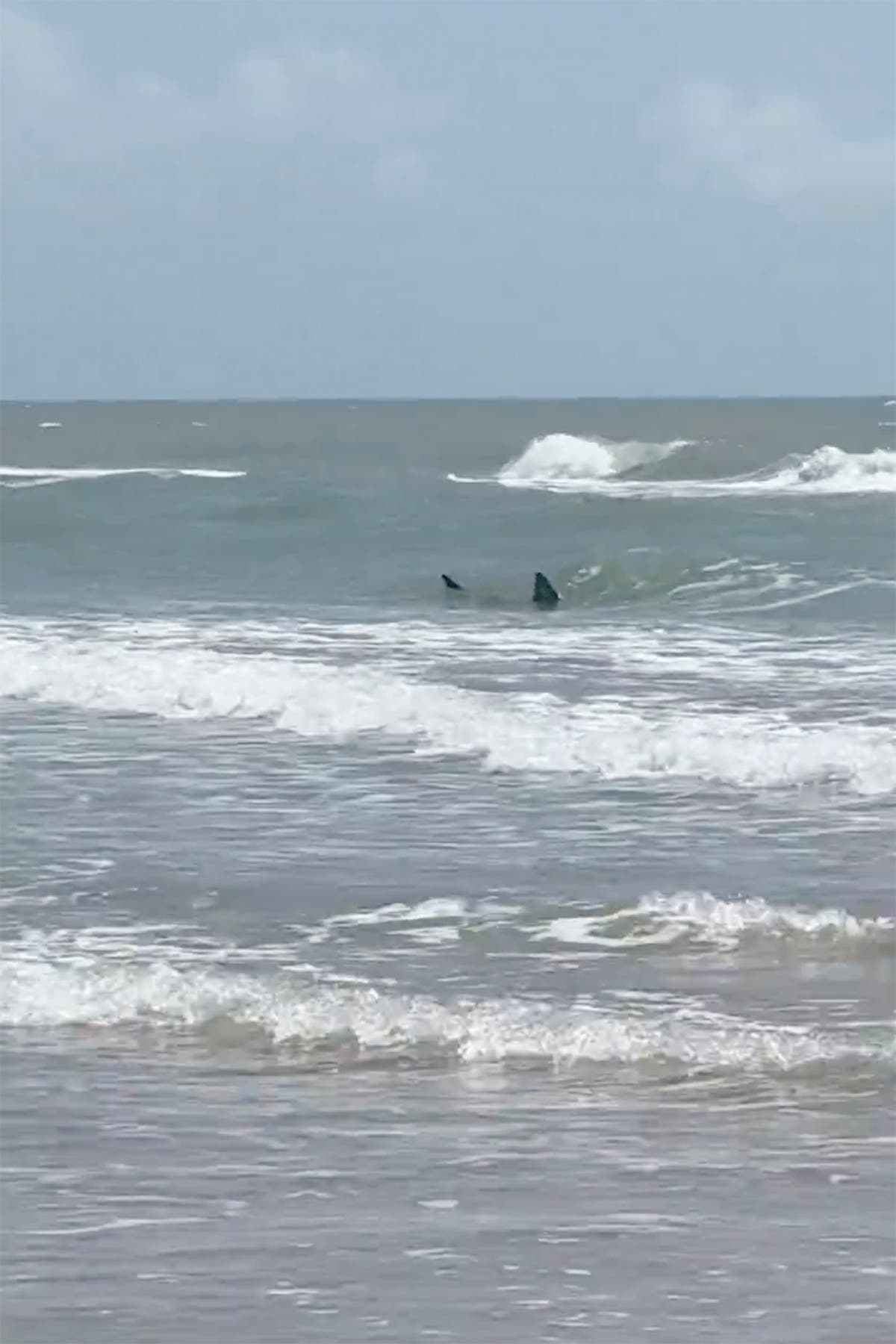 Shark attacks reported at Texas' South Padre Island; 2 people bitten, at least 1 severely