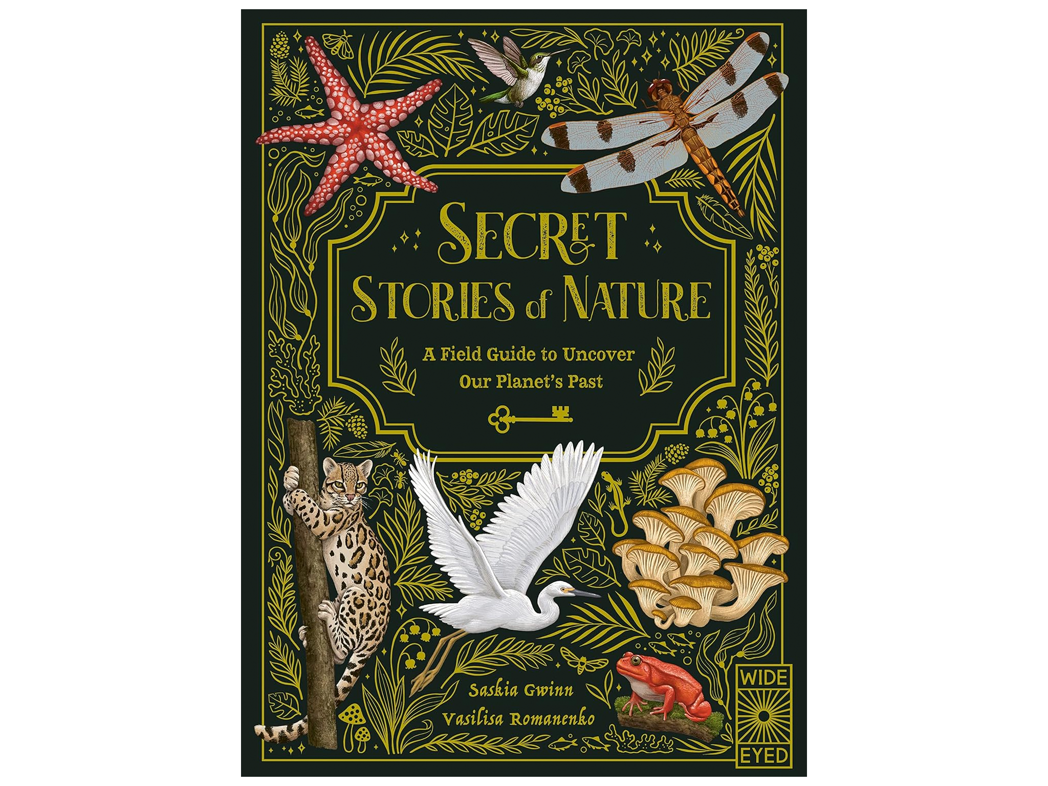 Secret-stories-of-nature-best-gifts-for-8-year-olds-review-indybest