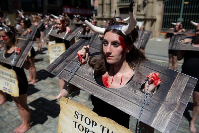 <p>En vísperas de la celebración de las fiestas de este año, defensores de los derechos de los animales se concentraron en la Plaza Consistorial para protestar contra los abusos a los toros. </p>