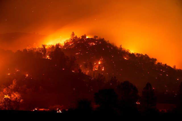 <p>The French Fire in Mariposa County, California is burning near Yosemite National Park, prompting evacuations in the region </p>