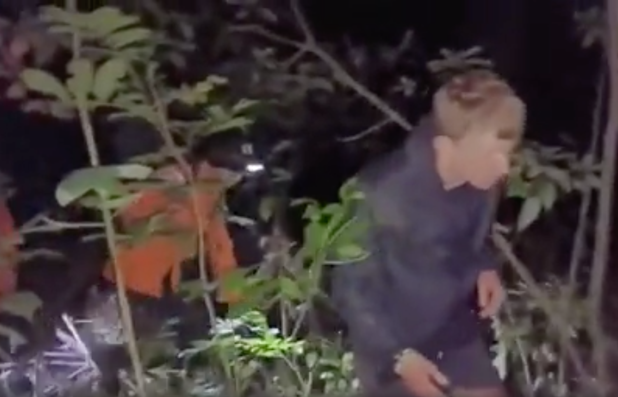 Footage showed Matthew and Andrew Forster being rescued by officials after a vast search effort on Mt Agung