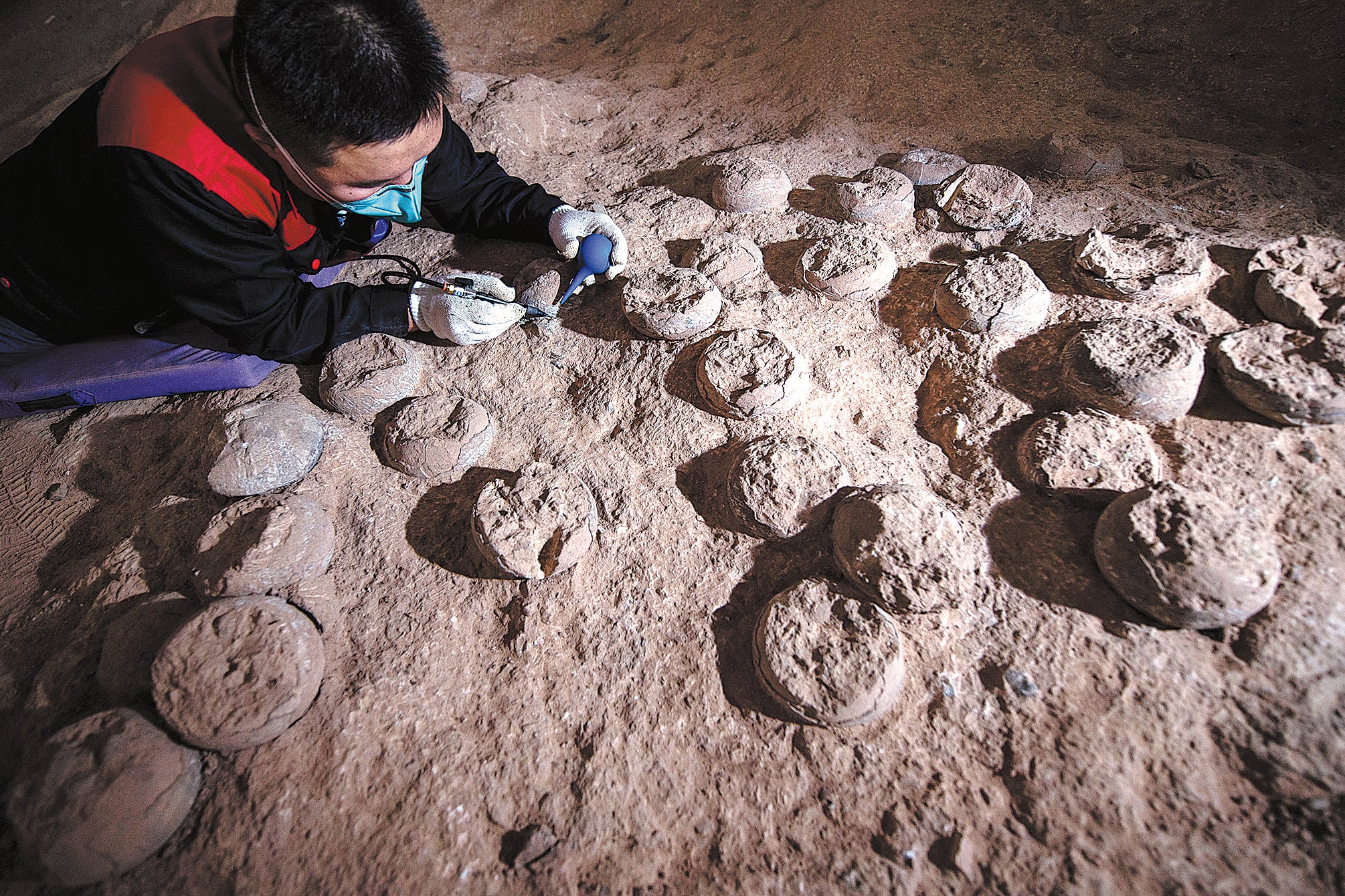 Zhao Bi blows the dust off dinosaur egg fossils at the Qinglong Mountain Dinosaur Egg Fossil Site Museum in Shiyan, Hubei province, in May