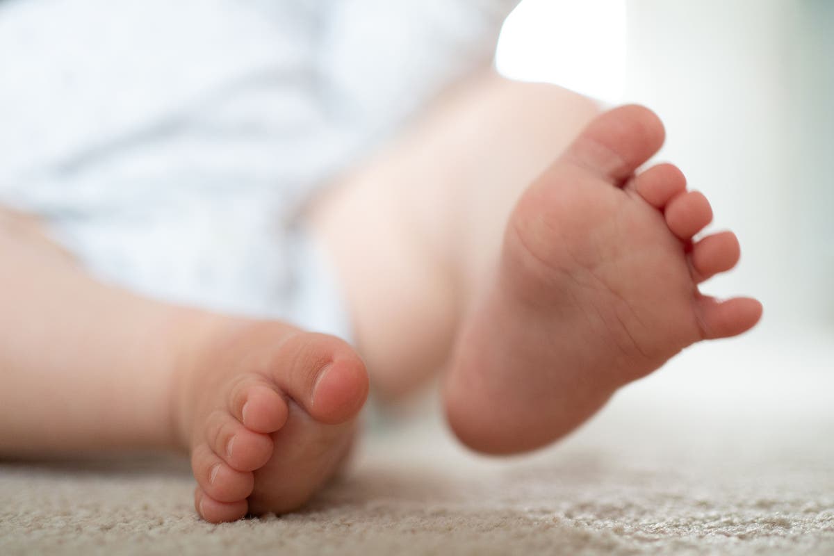 New pill can increase IVF success rates, study suggests