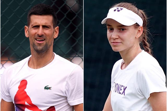 Novak Djokovic and Elena Rybakina play on Monday (PA)