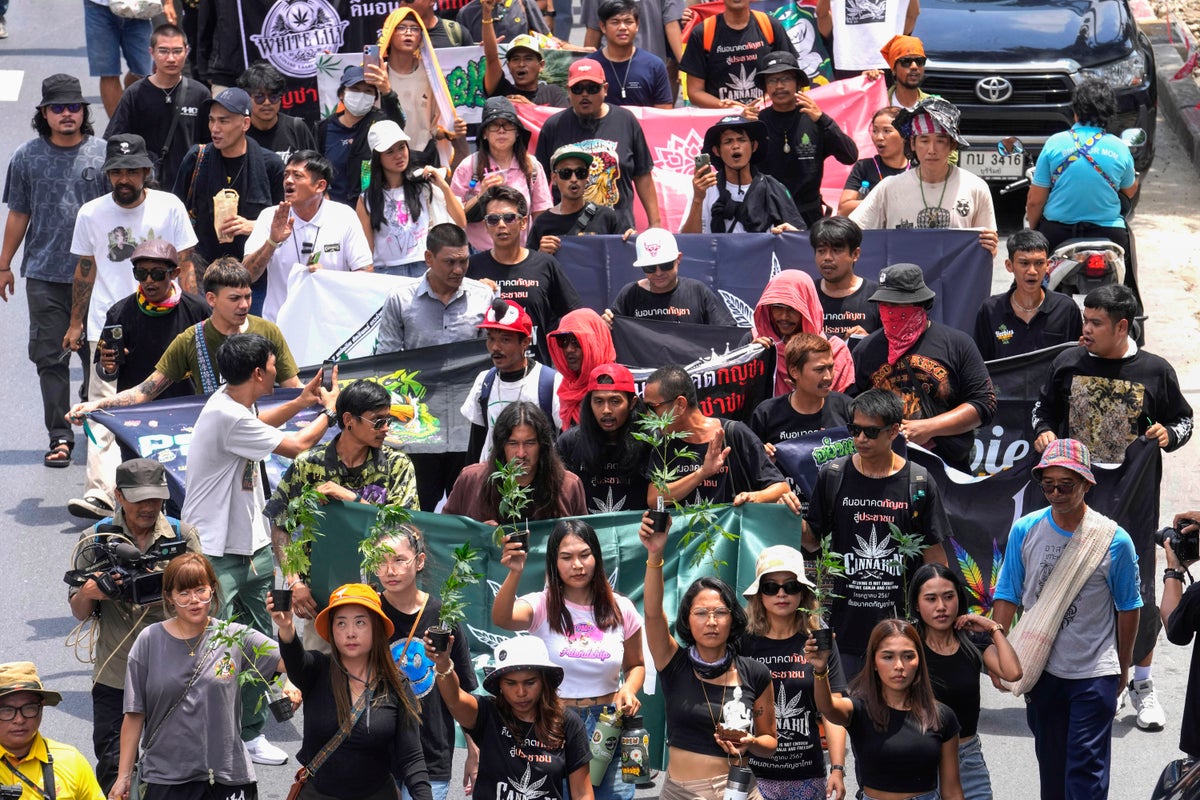 Cannabis advocates in Thailand protest a proposal to ban its general use once again