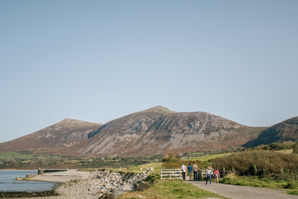 How this eco-campsite in North Wales became a haven for frazzled Londoners