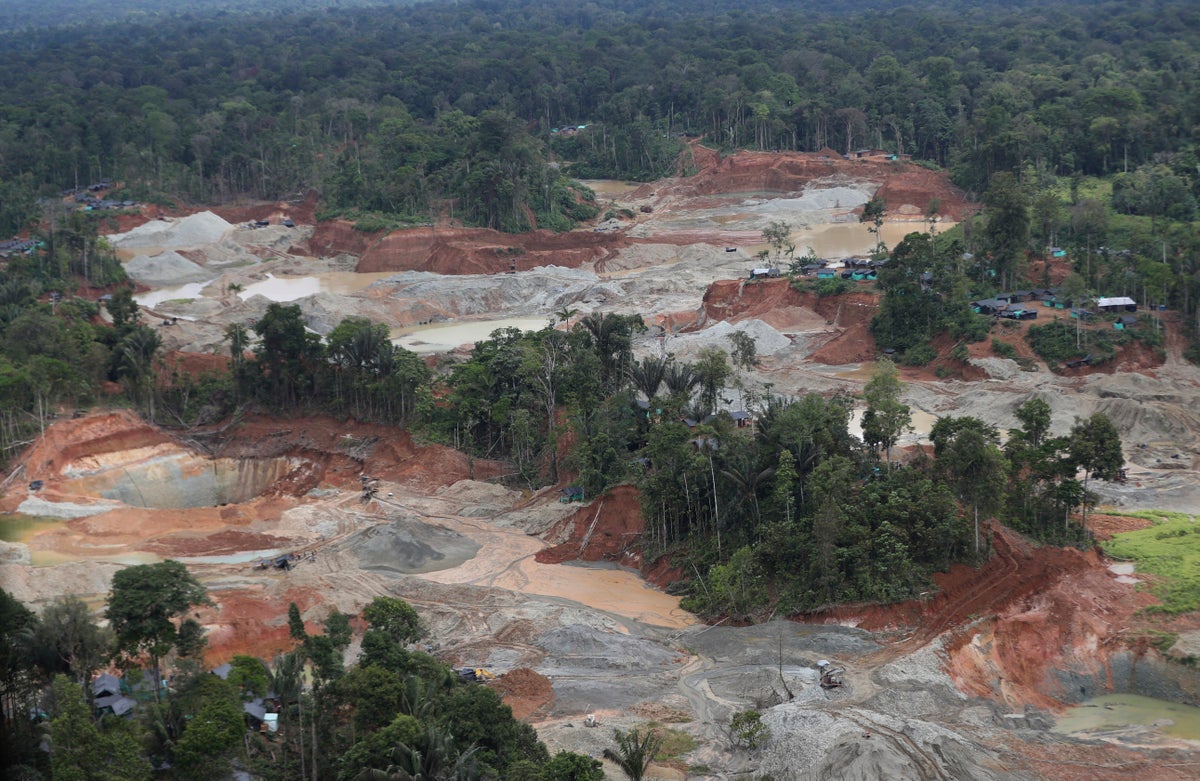 Deforestation in Colombia fell to historic lows in 2023, environment minister says
